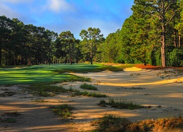 Best of Sandhills