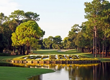 Innisbrook Classic Tampa Golf Package
