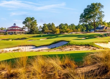 Pinehurst's Cradle, No. 2, & No. 4